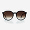 Oval and Architectural lines Acetate Women's Sunglasses 21A8035